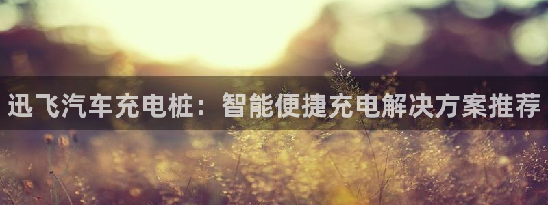 威廉希尔williamhill官网世界杯：迅飞汽车充电桩：智能便捷充电解决方案推荐