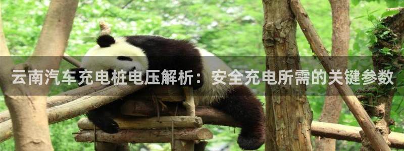 威廉希尔让球胜负平