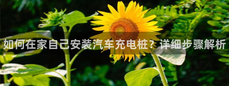 威廉希尔和立博心得：如何在家自己安装汽车充电桩？详细步骤解析