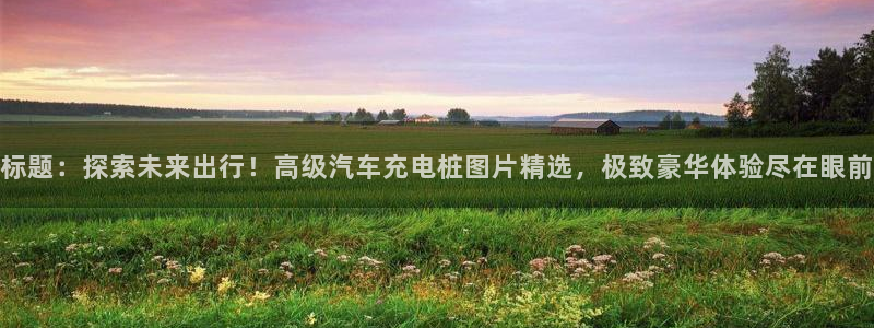 威廉希尔西甲1.44,4.6,6.5什么赛果：标题：探索未来出行！高级汽车充电桩图片精选，极致豪华体验尽在眼前