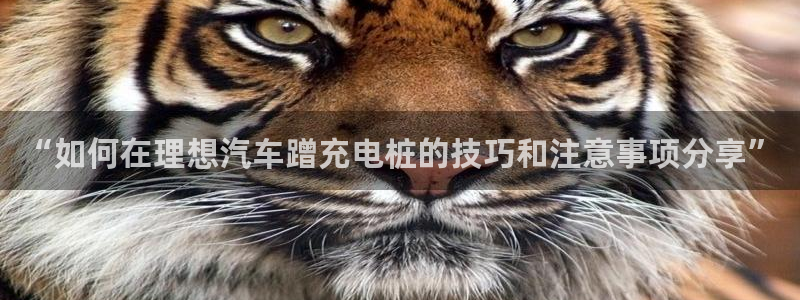 威廉比分：“如何在理想汽车蹭充电桩的技巧和注意事项分享”