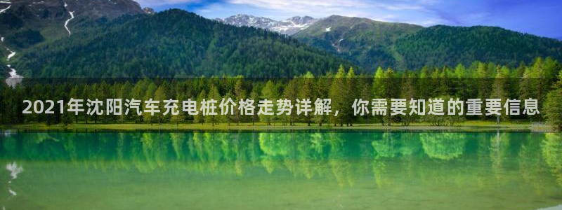 威廉希尔公司足球数据：2021年沈阳汽车充电桩价格走势详解，你需要知道的重要信息
