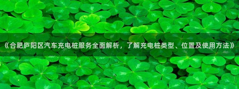 巴甲威廉希尔初赔研究：《合肥庐阳区汽车充电桩服务全面解析，了解充电桩类型、位置及使用方法》