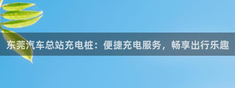 威廉希尔体系标准表：东莞汽车总站充电桩：便捷充电服务，畅享出行乐趣