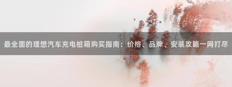 威廉希尔官网软件：最全面的理想汽车充电桩箱购买指南：价格、品牌、安装攻略一网打尽