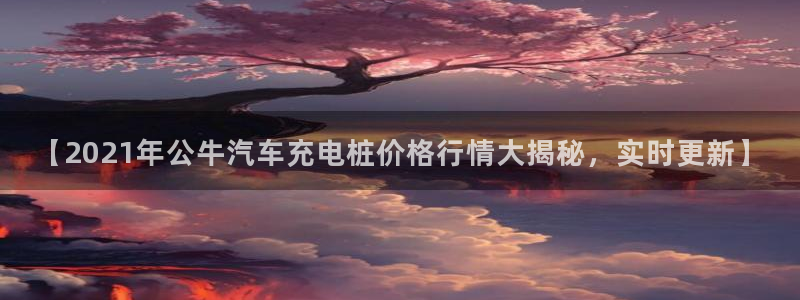 威廉体育官方app下载安装苹果：【2021年公牛汽车充电桩价格行情大揭秘，实时更新】