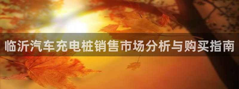 威廉足球软件下载：临沂汽车充电桩销售市场分析与购买指南
