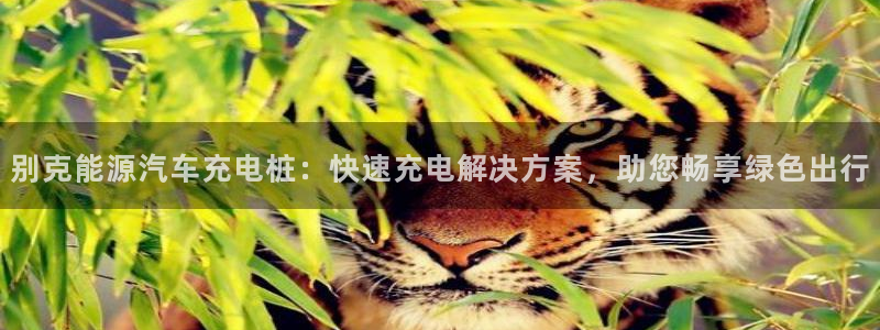 有没有威廉国际这个平台：别克能源汽车充电桩：快速充电解决方案，助您畅享绿色出行