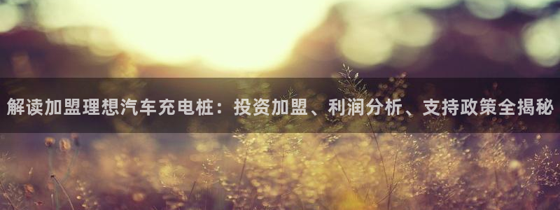 威廉希尔美职联2.10 3.40 3.10：解读加盟理想汽车充电桩：投资加盟、利润分析、支持政策全揭秘