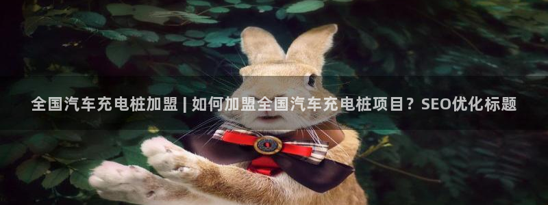 威廉希尔app怎么用：全国汽车充电桩加盟 | 如何加盟全国汽车充电桩项目？SEO优化标题