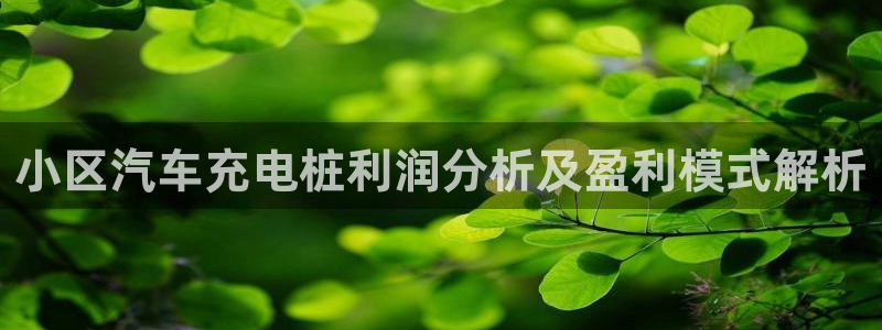 威廉国际ktv：小区汽车充电桩利润分析及盈利模式解析