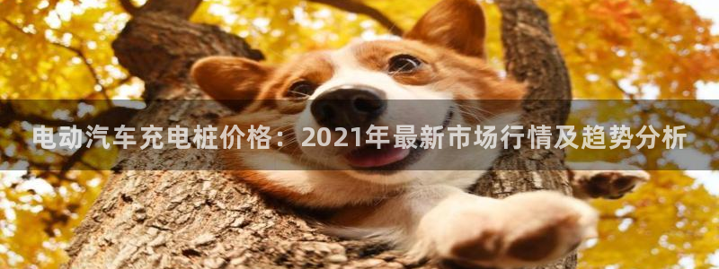 威廉网址：电动汽车充电桩价格：2021年最新市场行情及趋势分析