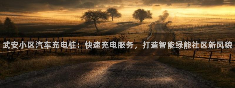 威廉希尔官网哪里有：武安小区汽车充电桩：快速充电服务，打造智能绿能社区新风貌
