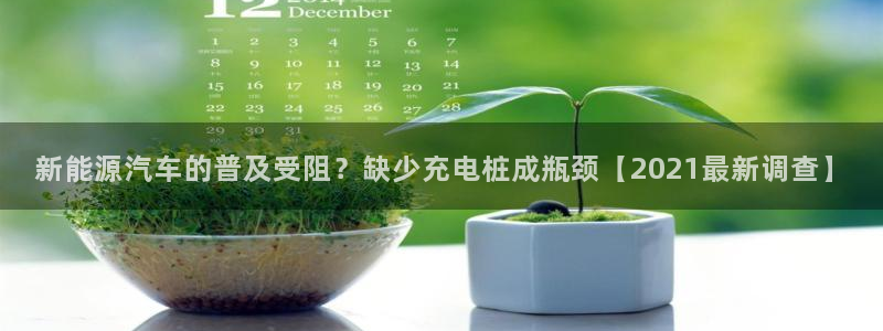 威廉希尔的分析方法 2.25：新能源汽车的普及受阻？缺少充电桩成瓶颈【2021最新调查】