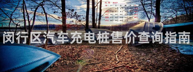 威廉比分：闵行区汽车充电桩售价查询指南