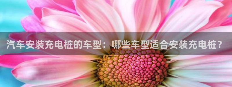 威廉希尔斯：汽车安装充电桩的车型：哪些车型适合安装充电桩？