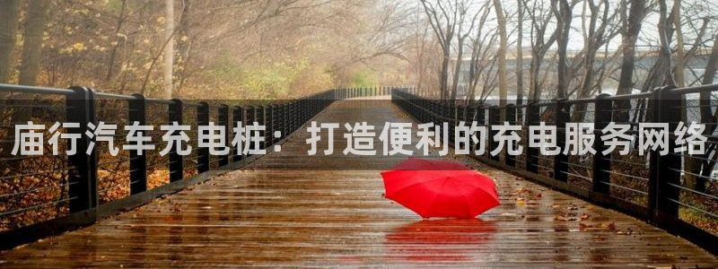 威廉指数详解：庙行汽车充电桩：打造便利的充电服务网络