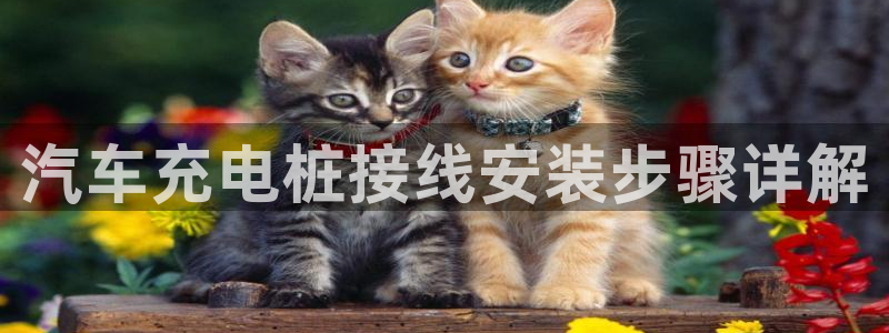 威廉国际平台介绍：汽车充电桩接线安装步骤详解