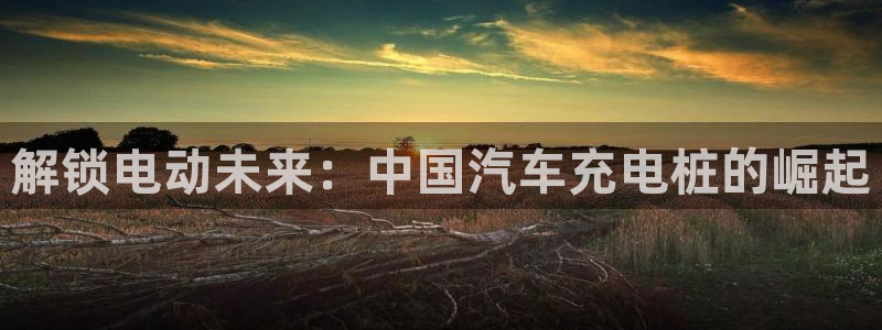 威廉希尔中文官网：解锁电动未来：中国汽车充电桩的崛起