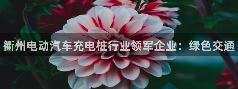 威廉指数的用法：衢州电动汽车充电桩行业领军企业：绿色交通