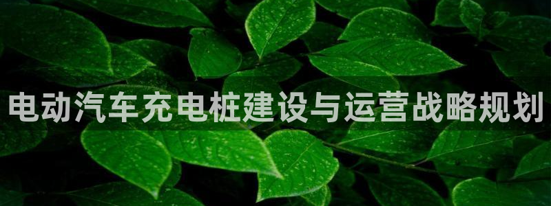 威廉希尔顿网址：电动汽车充电桩建设与运营战略规划