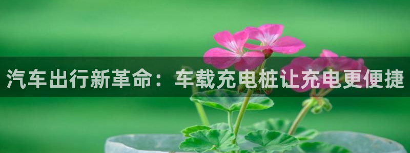 荷甲威廉希尔初赔研究：汽车出行新革命：车载充电桩让充电更便捷