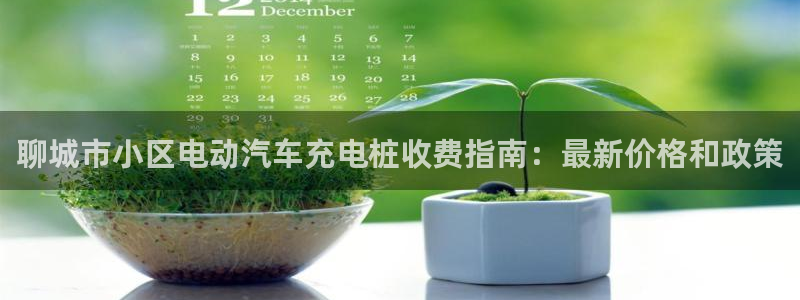 威廉希尔销售时间：聊城市小区电动汽车充电桩收费指南：最新价格和政策