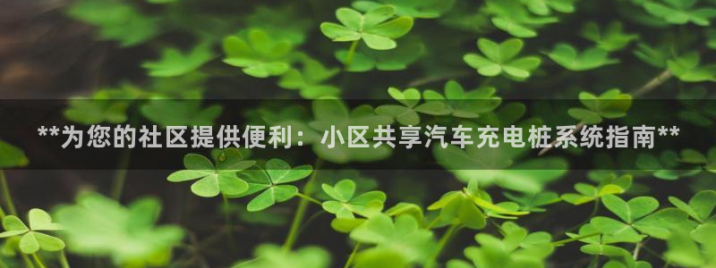 威廉希尔体育在线平台：**为您的社区提供便利：小区共享汽车充电桩系统指南**