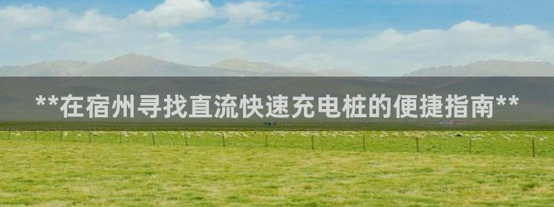 威廉希尔144指的是初盘?：**在宿州寻找直流快速充电桩的便捷指南**