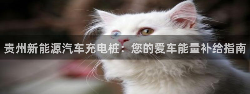 威廉希尔能预测每一场比赛：贵州新能源汽车充电桩：您的爱车能量补给指南