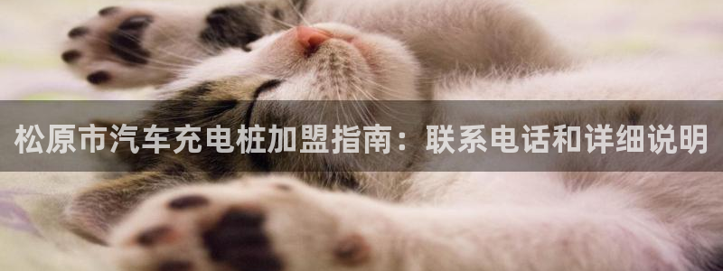 威廉希尔公司百度百科：松原市汽车充电桩加盟指南：联系电话和详细说明