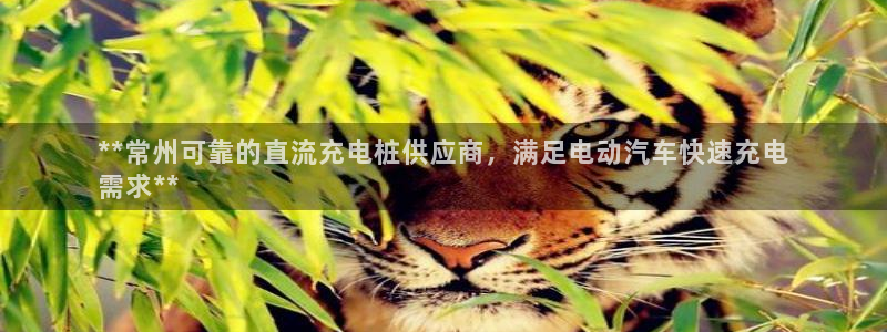 威廉希尔如何分析：**常州可靠的直流充电桩供应商，满足电动汽车快速充电
需求**