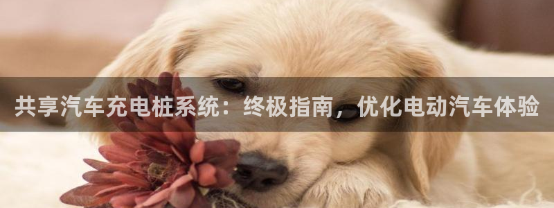 威廉希尔不懂球：共享汽车充电桩系统：终极指南，优化电动汽车体验