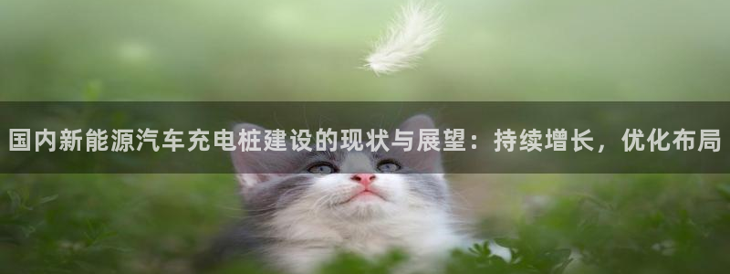 威廉国际app下载安装：国内新能源汽车充电桩建设的现状与展望：持续增长，优化布局
