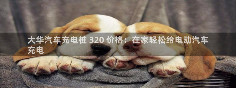 威廉希尔胜平负概率：大华汽车充电桩 320 价格：在家轻松给电动汽车
充电