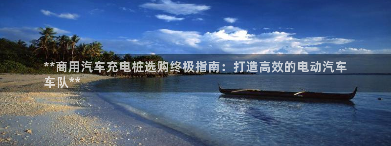 威廉国际平台正规吗：**商用汽车充电桩选购终极指南：打造高效的电动汽车
车队**