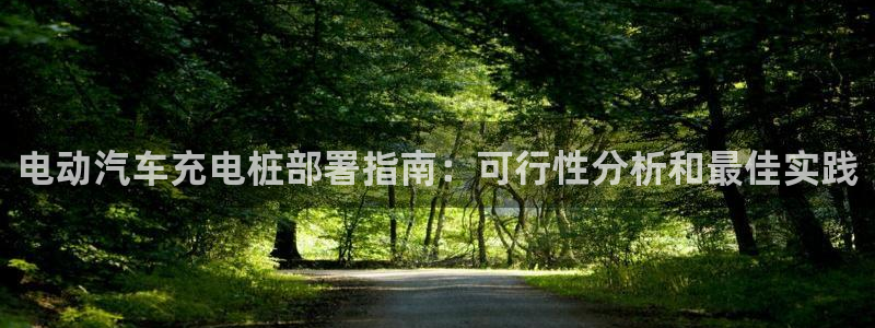 威廉希尔1.91有什么说法：电动汽车充电桩部署指南：可行性分析和最佳实践