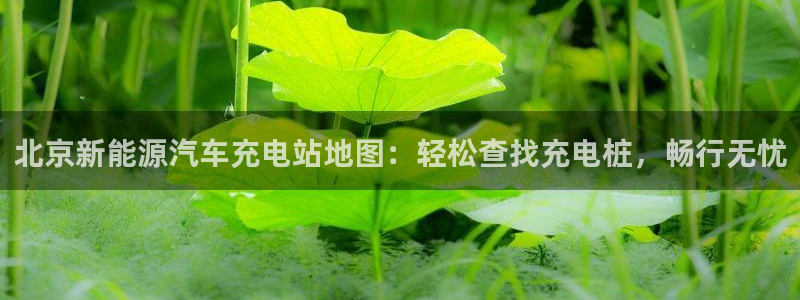 威廉娱乐圈是谁：北京新能源汽车充电站地图：轻松查找充电桩，畅行无忧