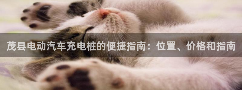 威廉娱乐2023官方版-5.06 InURl:fayunsi：茂县电动汽车充电桩的便捷指南：位置、价格和指南