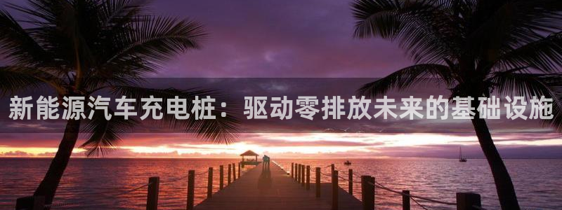 威廉希尔洗碗机：新能源汽车充电桩：驱动零排放未来的基础设施