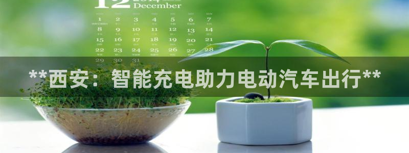 威廉看球：**西安：智能充电助力电动汽车出行**