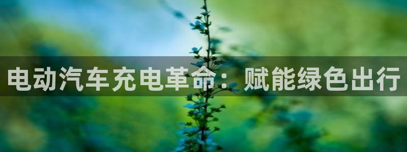 足球威廉希尔指数变化的意义：电动汽车充电革命：赋能绿色出行