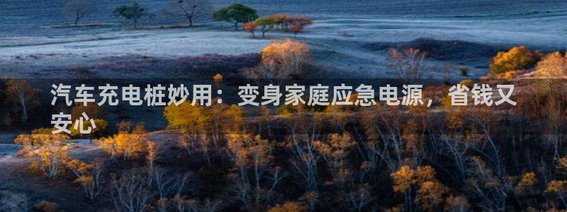 威廉指数详解：汽车充电桩妙用：变身家庭应急电源，省钱又
安心