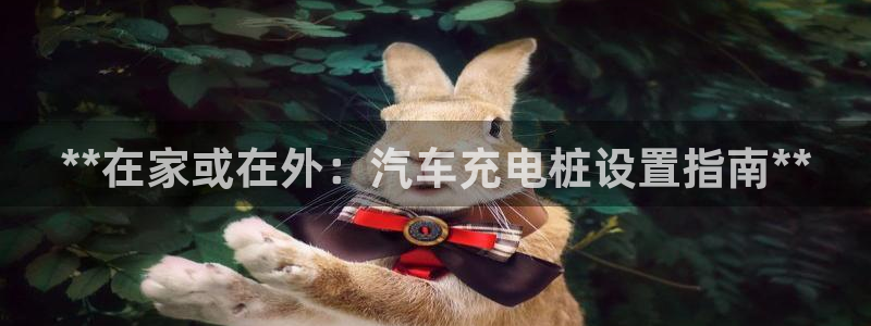 威廉希尔欧亚盘转换：**在家或在外：汽车充电桩设置指南**