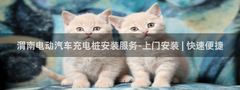 威廉港足球俱乐部：渭南电动汽车充电桩安装服务-上门安装 | 快速便捷
