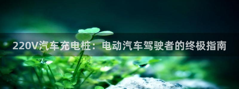 威廉希尔陪率特点：220V汽车充电桩：电动汽车驾驶者的终极指南