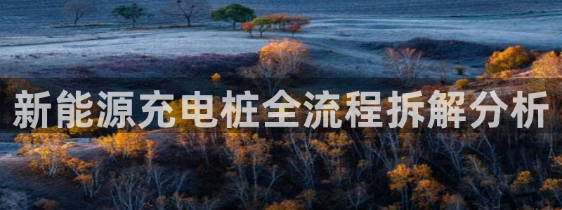威廉希尔出款：新能源充电桩全流程拆解分析