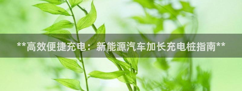 威廉希尔让一球胜率有多高：**高效便捷充电：新能源汽车加长充电桩指南**