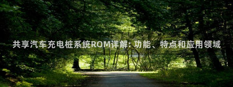 威廉希尔如何分析：共享汽车充电桩系统ROM详解: 功能、特点和应用领域