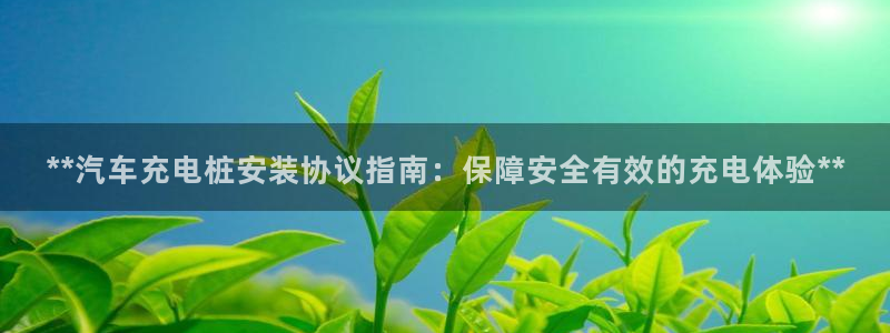 威廉希而：**汽车充电桩安装协议指南：保障安全有效的充电体验**